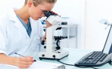 2024年质量月活动总结范文6篇