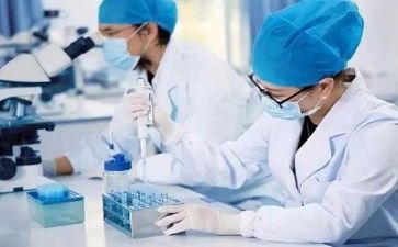 技术质量科工作总结优秀5篇
