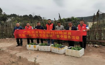 卫生支农个人总结5篇