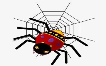 小蜘蛛的教案模板5篇