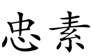 关于忠的作文8篇