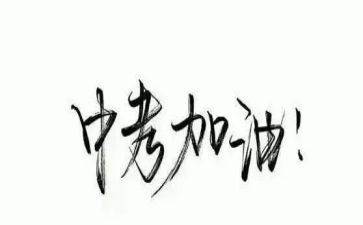 中考心得体会最新6篇