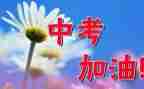 我心里的中考作文5篇