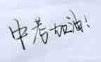 亲情类作文中考作文参考6篇