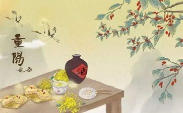 过重阳节的心得体会推荐6篇