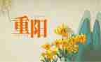 过重阳节的心得体会8篇
