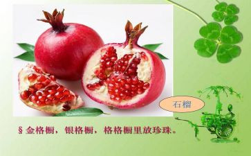 状物类的作文5篇