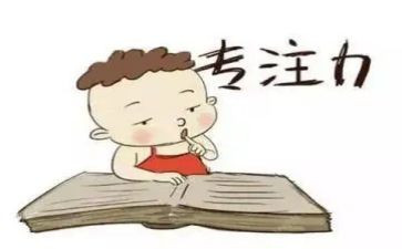 专注力的心得5篇