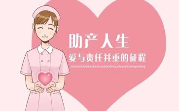助产士2024年工作总结通用6篇