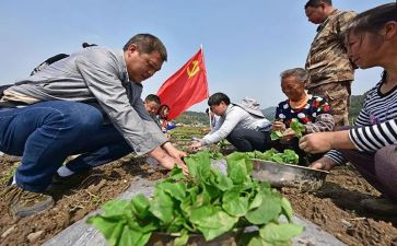 驻村个人述职报告8篇