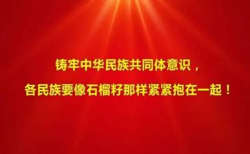铸牢中华民族共同体意心得体会5篇