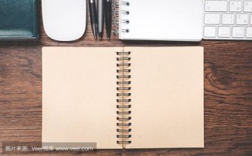 助理周工作总结最新8篇
