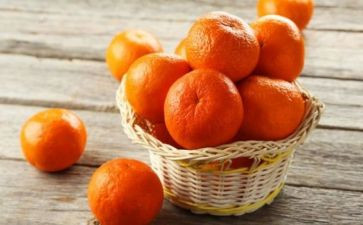 橘子灯的读后感最新8篇