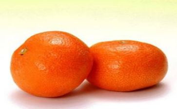 音乐橘子教案5篇