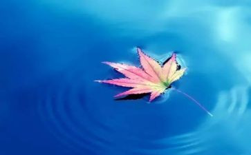 自然的作文600字优质7篇