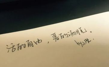自由作文500字8篇