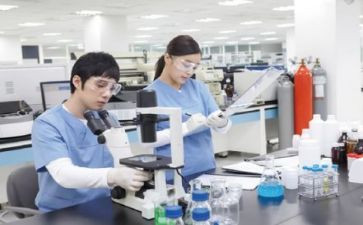2024年综合工作总结报告6篇