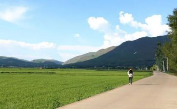 未走过的路作文通用8篇