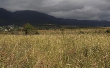 房屋合同租赁合同推荐8篇