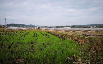 2024最新商铺租赁合同优秀5篇