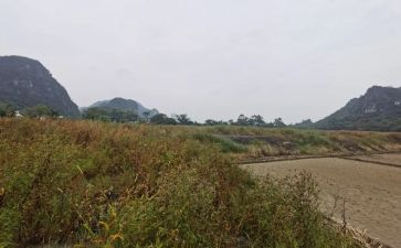 租赁铺面合同通用6篇